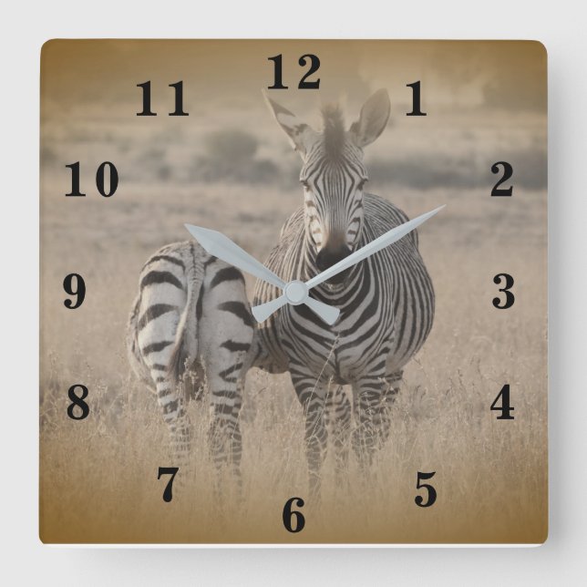 Zebra Square Wall Clock (Front)