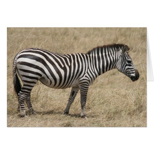 zebra stand cards (Front Horizontal)