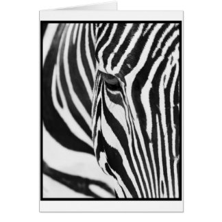 Zebra Stare Cards