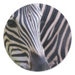 Zebra Sticker