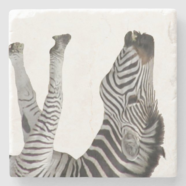 Zebra Stone Coaster (Front)