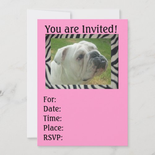 Zebra Stripe English Bulldog party Invitations
