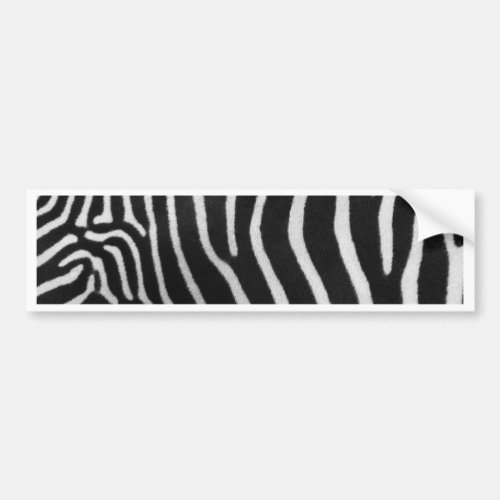 Zebra Stripe Pattern Bumper Sticker