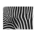 Zebra Stripe Pattern Postcard