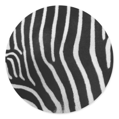 Zebra Stripe Patterns-Zebra Stripe Patterns Manufacturers