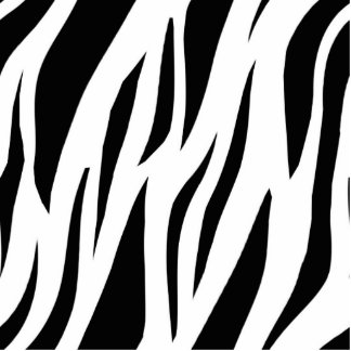 Zebra Photo Sculptures, Cutouts & Zebra Cut Outs | Zazzle
