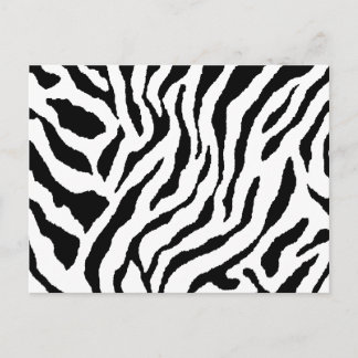 Zebra Striped Postcard