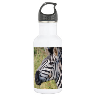 Zebra Stripes Animal African Safari Destiny Stainless Steel Water Bottle
