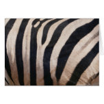 Zebra Stripes Black and White Cards