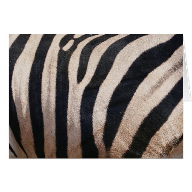 Zebra Stripes Black and White Cards (Front Horizontal)