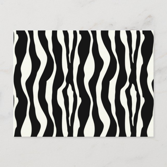 Zebra stripes - Black and White Postcard (Front)