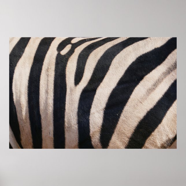 Zebra Stripes Black and White Poster (Front)