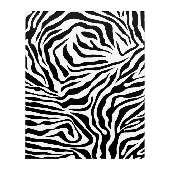 Zebra Stripes Black And White Wild Animal Print Acrylic Print (Front)
