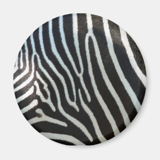 Zebra Stripes Magnet