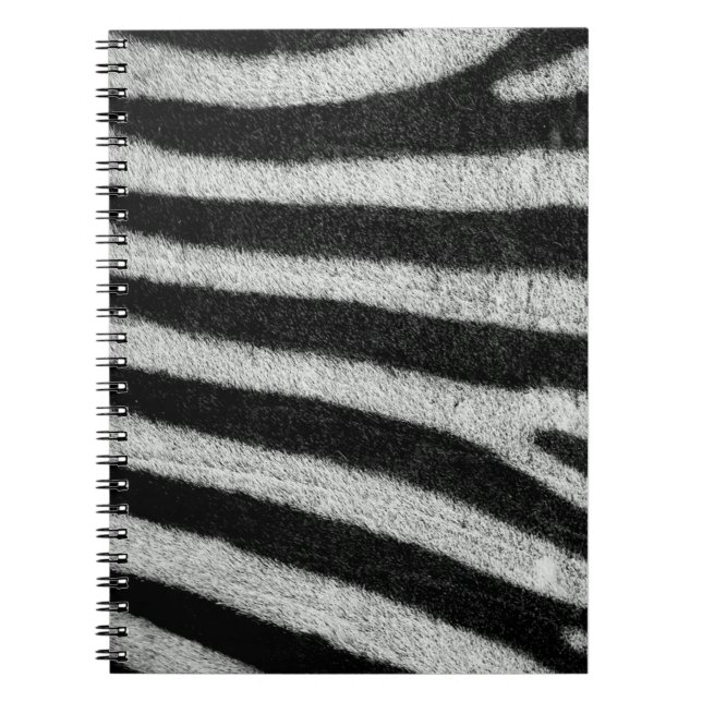 Zebra Stripes Notebook (Front)