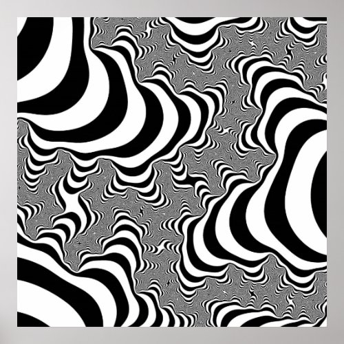 Zebra Stripes Poster