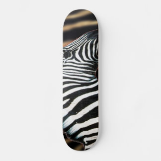 Zebra Stripes Wildlife Animal Art skateboard deck