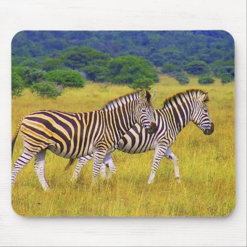 Zebra Stroll Wildlife Photography Mouse Pad