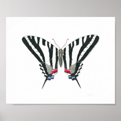 Zebra Swallowtail Butterfly Fine Art Print