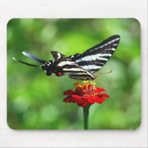 Zebra Swallowtail Butterfly Mousepad