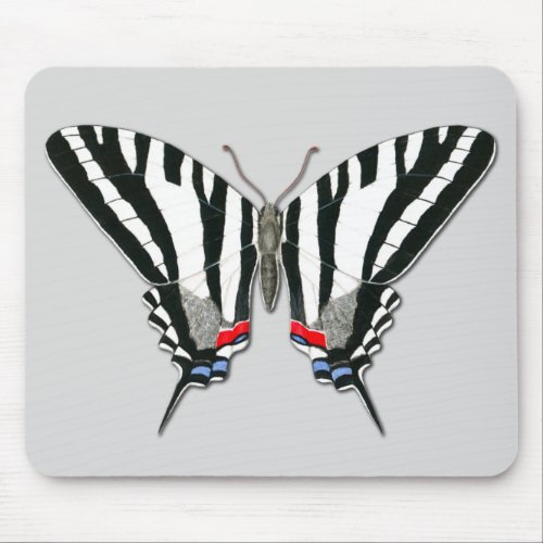 Zebra Swallowtail Butterfly Mousepad