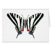 Zebra Swallowtail Butterfly Note Card (Front Horizontal)