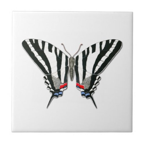 Zebra Swallowtail Butterfly Tile  Custom Color