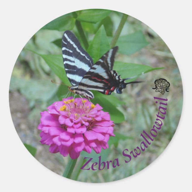 Zebra Swallowtail Classic Round Sticker (Front)
