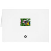 Zebra Swallowtail+Japanese Beetle (Back Horizontal)