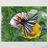 Zebra Swallowtail+Japanese Beetle (Front)