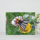 Zebra Swallowtail+Japanese Beetle (Standing Front)