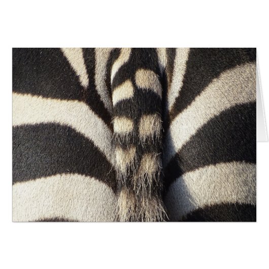 Zebra Tail (Front Horizontal)