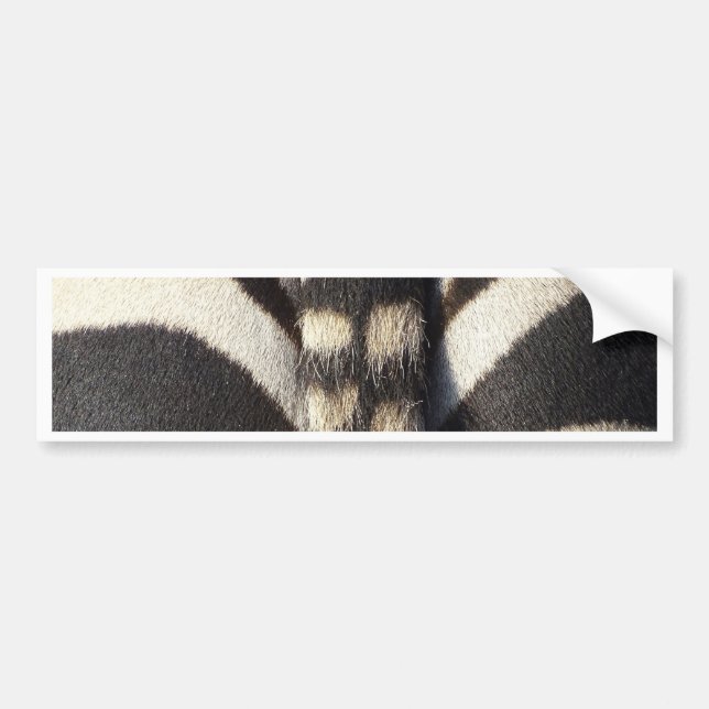 Zebra Tail Bumper Sticker (Front)