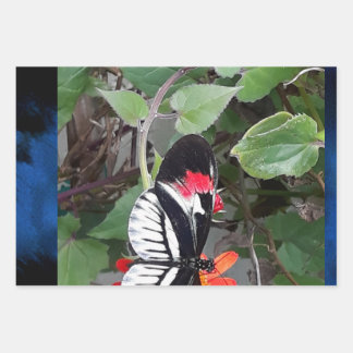 Zebra tail butterfly wrapping paper sheets