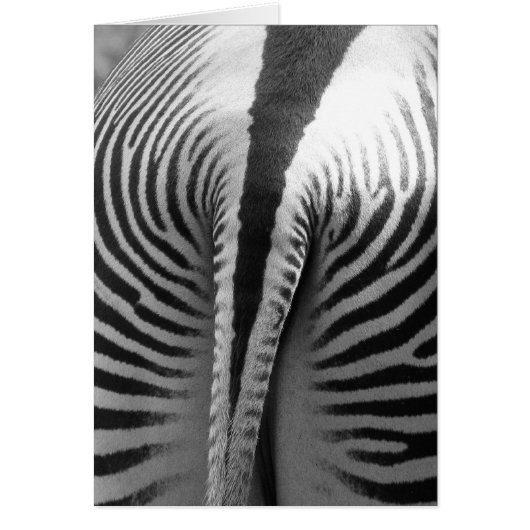 Zebra Tail Cards (Front)