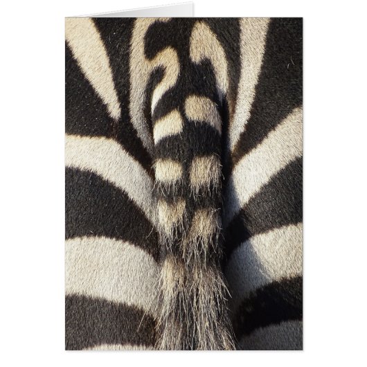 Zebra Tail Cards (Front)