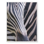 Zebra Temporary Tattoos