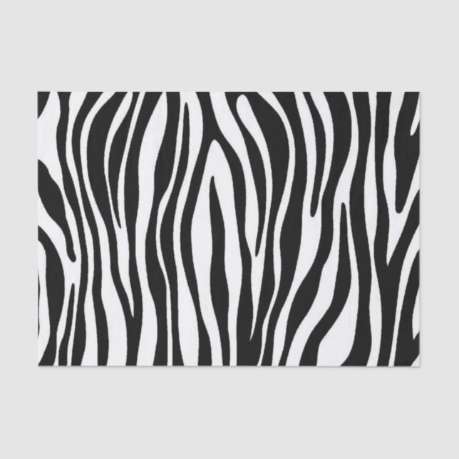 Zebra Tissue Paper (Front)
