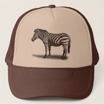 Zebra Trucker Hat by CNelson01 at Zazzle