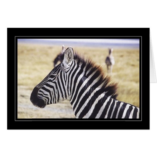 Zebra Up Close Cards (Front Horizontal)