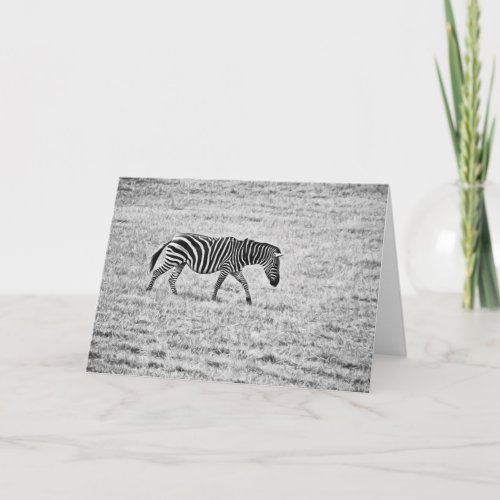 Zebra Walk Blank Note Card