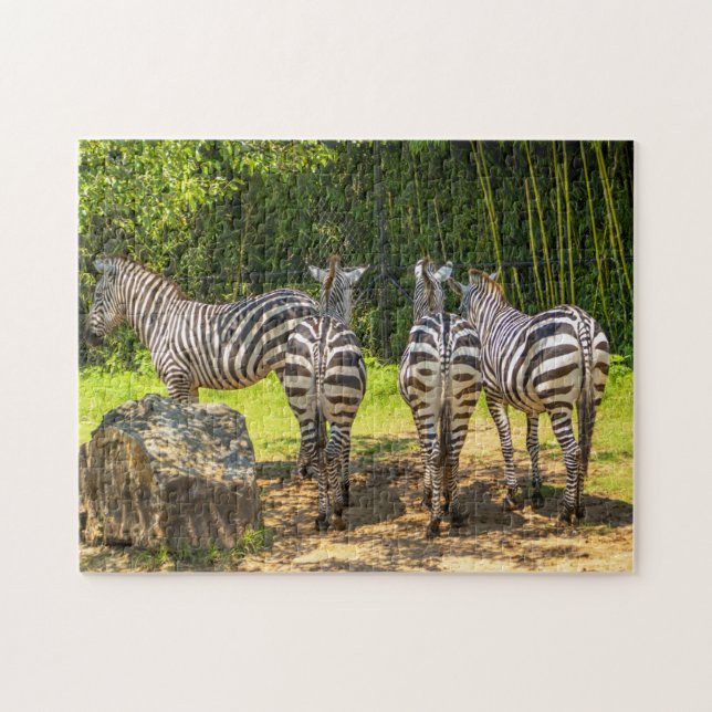 Zebra wildlife jigsaw puzzle (Horizontal)