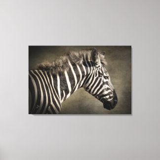 Zebra Wildlife Photography Art Canvas Print