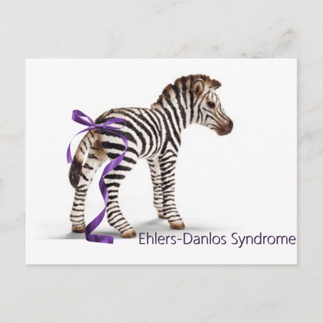 zebra with ribbon large.png postcard (Front)