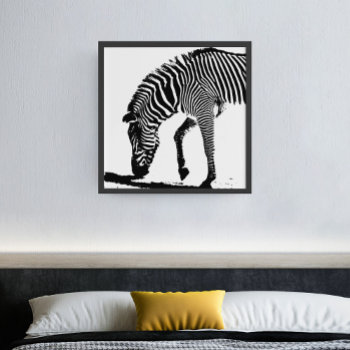 Zebra With Shadow Unframed Poster by PawsitiveDesigns at Zazzle