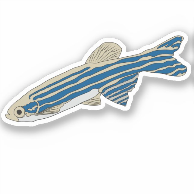Zebrafish sticker (Front)
