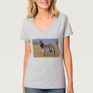 Zebras and Horses Poem Tee