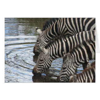Zebras at Water - Customized Cards