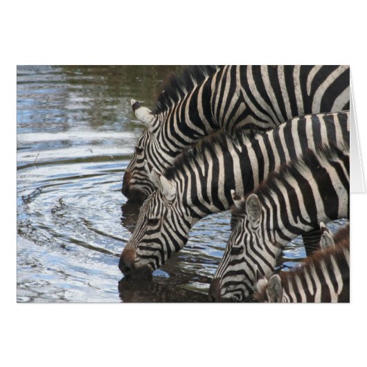 Zebras at Water - Customized Cards (Front Horizontal)