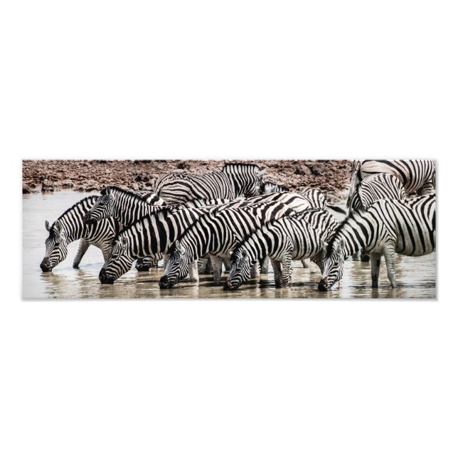 Zebras at Waterhole Photo Print (Front)